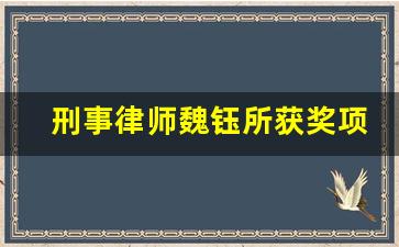 刑事律师魏钰所获奖项