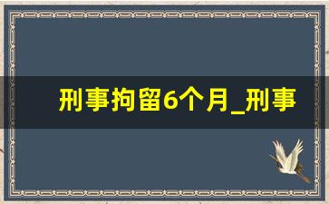 刑事拘留6个月_刑事拘留2个月会有案底吗