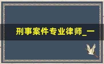 刑事案件专业律师_一般民事诉讼费用多少