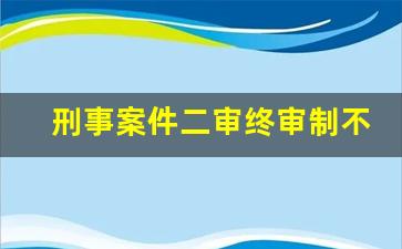 刑事案件二审终审制不服怎办