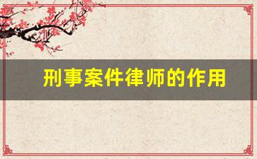 刑事案件律师的作用