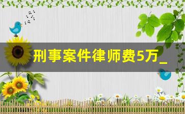 刑事案件律师费5万_刑事案律师收费标准