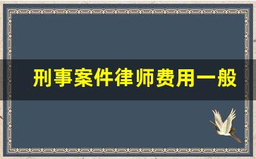 刑事案件律师费用一般多少钱_怎样找律师才不会被坑