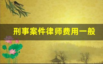 刑事案件律师费用一般怎么收的_刑事案件律师费一般怎么收费标准