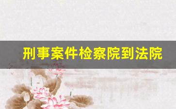 刑事案件检察院到法院要多久_2023年以后没缓刑了怎么办