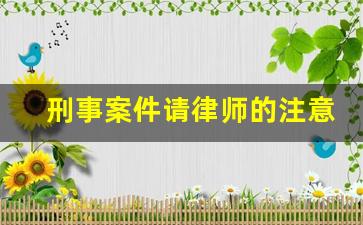 刑事案件请律师的注意事项_刑事案件请律师需要注意什么