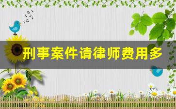 刑事案件请律师费用多少