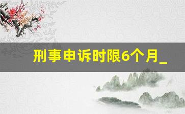 刑事申诉时限6个月_刑事案件的申诉期限是多久