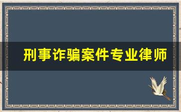 刑事诈骗案件专业律师