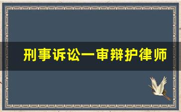 刑事诉讼一审辩护律师