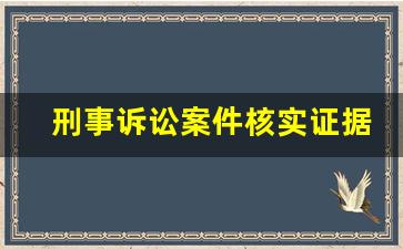 刑事诉讼案件核实证据出庭规则_刑事诉讼证人