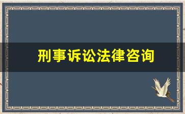 刑事诉讼法律咨询