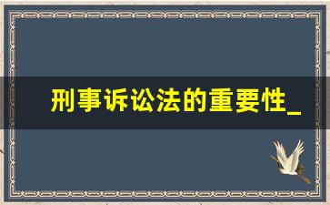 刑事诉讼法的重要性_刑事诉讼法对刑法的保障作用