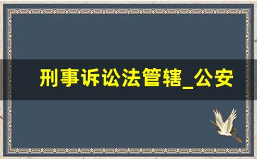 刑事诉讼法管辖_公安机关并案处理的法律依据