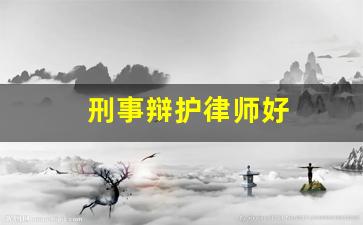 刑事辩护律师好