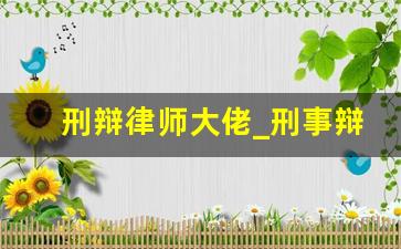 刑辩律师大佬_刑事辩护大神律师