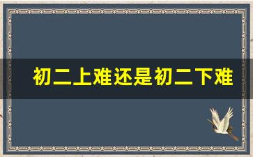 初二上难还是初二下难