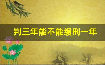 判三年能不能缓刑一年_3年缓刑一般要交多少钱