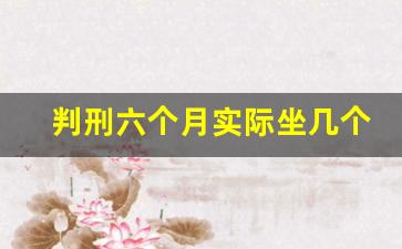 判刑六个月实际坐几个月_判刑6个月属于什么罪