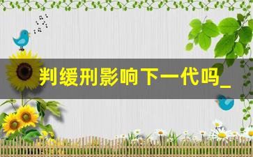 判缓刑影响下一代吗_2023年以后没缓刑了怎么办