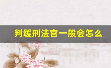 判缓刑法官一般会怎么说_判缓刑交罚金一览表