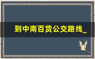 到中南百货公交路线_中南百货有哪些品牌