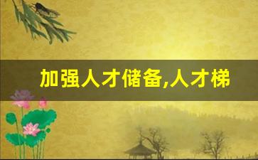 加强人才储备,人才梯队建设_人才培养计划方案的实施方案