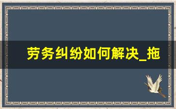 劳务纠纷如何解决_拖欠工资打110可以解决吗