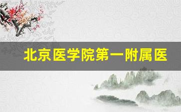 北京医学院第一附属医院_中国医院排行