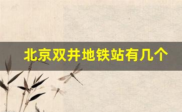 北京双井地铁站有几个出口_10号线乐成中心出口是哪个口