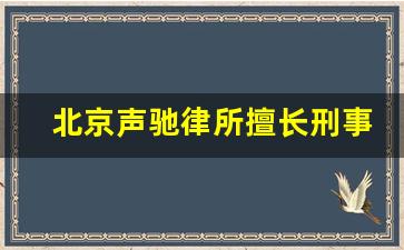 北京声驰律所擅长刑事吗_声驰十大律师