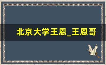 北京大学王恩_王恩哥为何提出这些警句