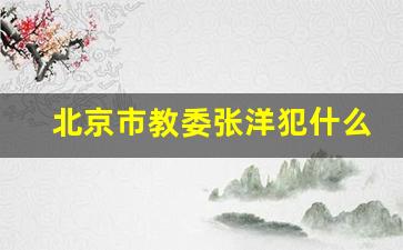 北京市教委张洋犯什么事了_现在的北京市教委主任是谁