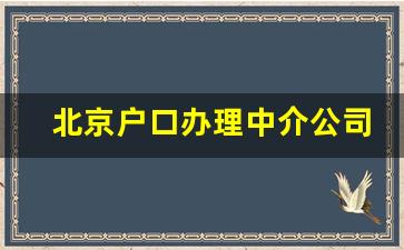 北京户口办理中介公司