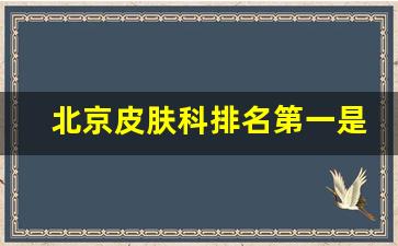 北京皮肤科排名第一是哪个医院_北京最有名的皮肤科医生有哪些