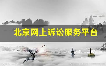 北京网上诉讼服务平台官网_北京网上诉讼需要多久