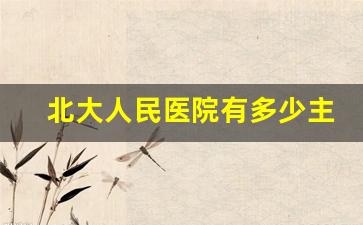 北大人民医院有多少主任医师_北京大学人民医院大夫