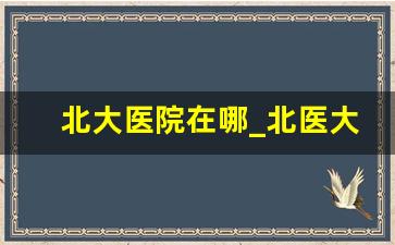 北大医院在哪_北医大医院在什么位置