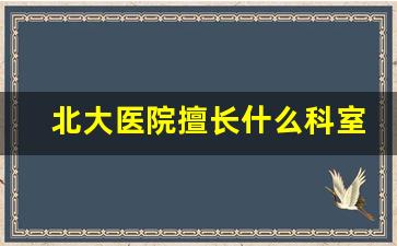 北大医院擅长什么科室