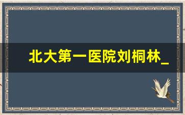 北大第一医院刘桐林_北大医院黄世昌