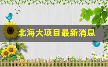 北海大项目最新消息