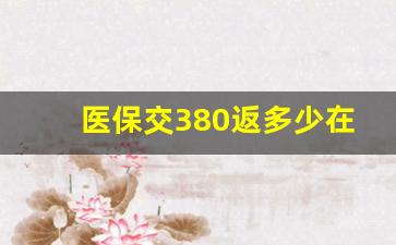 医保交380返多少在卡里_380医保年底返钱吗