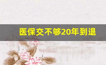 医保交不够20年到退休怎么办