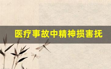 医疗事故中精神损害抚慰金怎么确定_医疗事故一般赔多少钱