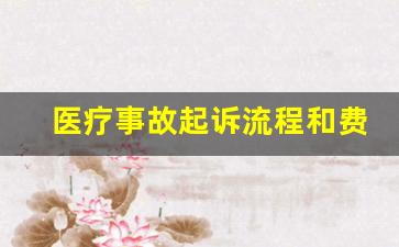 医疗事故起诉流程和费用_医疗纠纷索赔100招