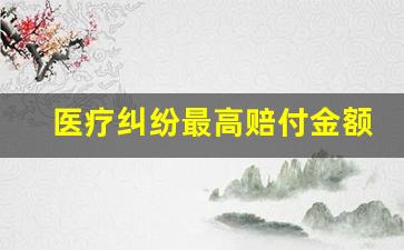 医疗纠纷最高赔付金额是多少_2023年医疗专项整治方案