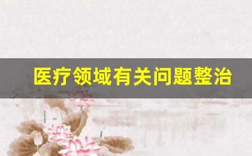 医疗领域有关问题整治方案_医疗领域突出问题专项整治开展情况