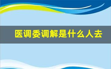 医调委调解是什么人去