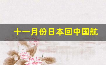 十一月份日本回中国航班_飞常准航班动态查询