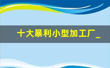 十大暴利小型加工厂_农村十大冷门暴利生意